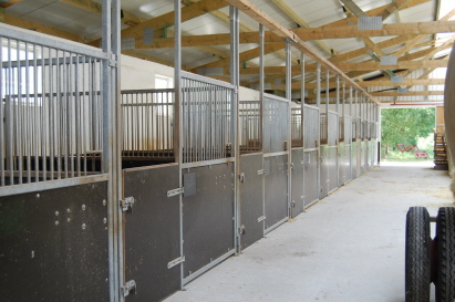 neuer Pferdestall *2010